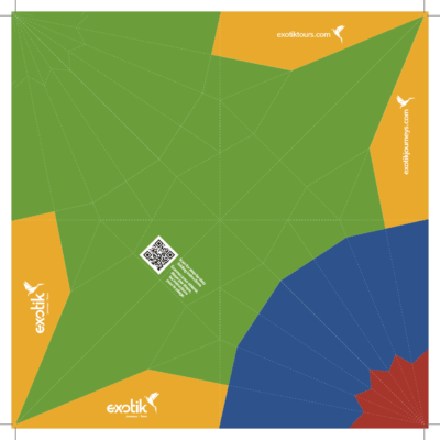 00273_EXO_Origami Crane_1