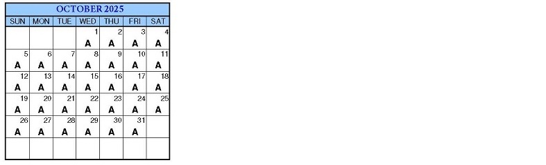 OKINAWA TRIP PACKAGE visual data 8